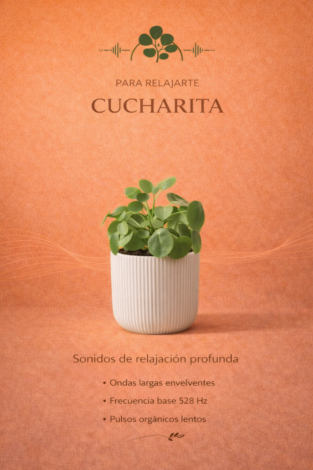 Cucharita + Relajación