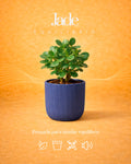 Jade + Equilibrio