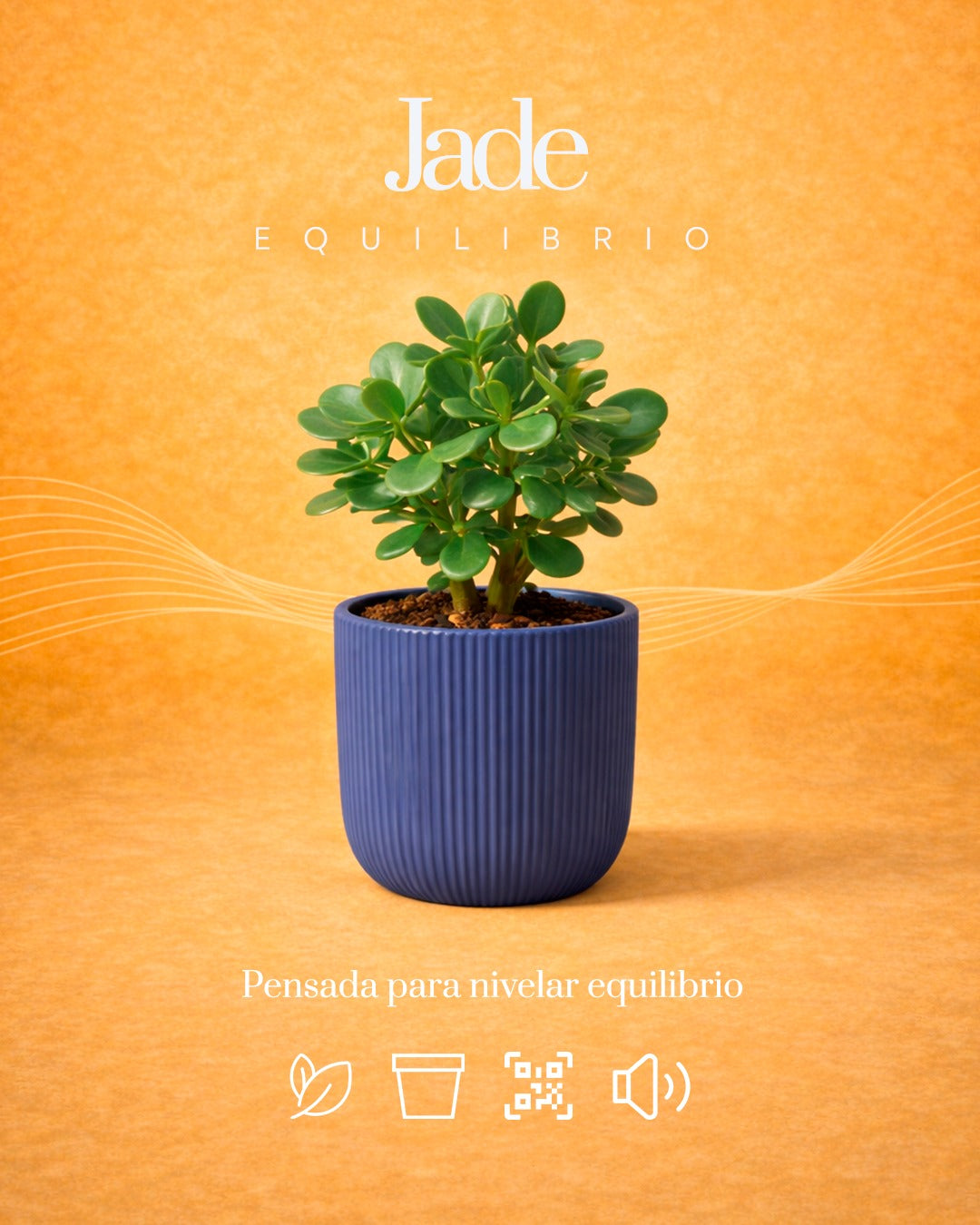 Jade + Equilibrio
