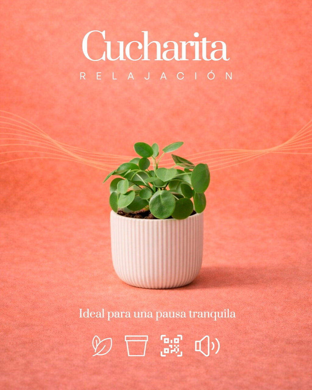Cucharita + Relajación